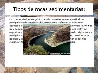 Tipos de rocas sedimentarias:
• Las rocas químicas y orgánicas son las rocas formadas a partir de la
precipitación de determinados compuestos químicos en soluciones
acuosas o bien por acumulación de substancias de origen orgánico. Un tipo
muy común es la roca caliza, formada en su mayor parte por restos de
organismos como corales, algas, etc. aunque también puede originarse por
precipitación de cementos calcáreos. Las tobas calcáreas son rocas muy
porosas y con abundantes restos vegetales que se originan en los ríos
cuando el carbonato de calcio precipita sobre la vegetación.
 