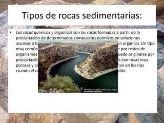 Tipos de rocas sedimentarias:
• Las rocas químicas y orgánicas son las rocas formadas a partir de la
precipitación de dete...