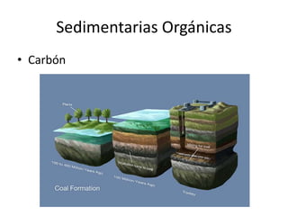 Sedimentarias Orgánicas
• Carbón
 