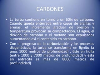 CARBONES
• La turba contiene en torno a un 60% de carbono.
Cuando queda enterrada entre capas de arcillas y
arenas, el incremento gradual de presión y
temperatura provocan su compactación. El agua, el
dióxido de carbono y el metano son expulsados
aumentando así el contenido en carbono.
• Con el progreso de la carbonización y los procesos
diagenéticos, la turba se transforma en lignito (a
unos 1000 metros de profundidad) , éste en hulla
(entre 1000 y 7000 metros de profundidad) y ésta
en antracita (a más de 8000 metros de
profundidad)
 