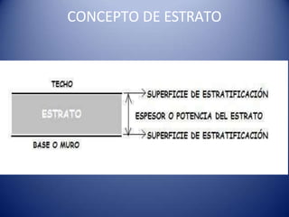CONCEPTO DE ESTRATO
 