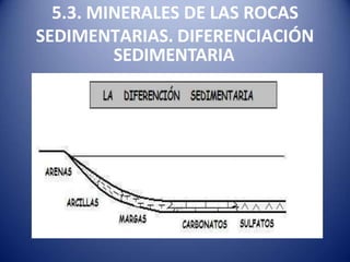 5.3. MINERALES DE LAS ROCAS
SEDIMENTARIAS. DIFERENCIACIÓN
SEDIMENTARIA
 
