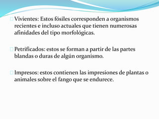 Vivientes: Estos fósiles corresponden a organismos
recientes e incluso actuales que tienen numerosas
afinidades del tipo morfológicas.
Petrificados: estos se forman a partir de las partes
blandas o duras de algún organismo.
Impresos: estos contienen las impresiones de plantas o
animales sobre el fango que se endurece.
 