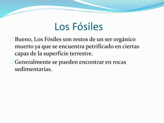 Los Fósiles
Bueno, Los Fósiles son restos de un ser orgánico
muerto ya que se encuentra petrificado en ciertas
capas de la superficie terrestre.
Generalmente se pueden encontrar en rocas
sedimentarias.
 