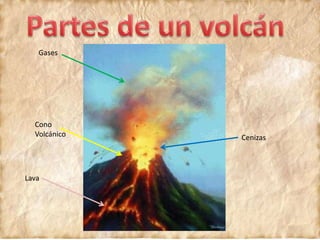 Gases
Cono
Volcánico
Lava
Cenizas
 
