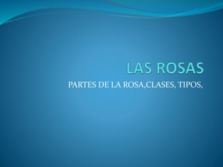PARTES DE LA ROSA,CLASES, TIPOS,
 