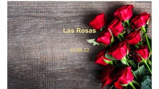 Las Rosas
12-08-22
 