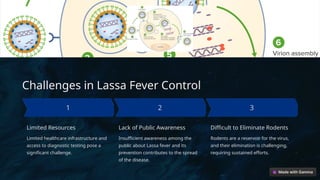 Lassa-Fever-An-Introduction given here.pptx