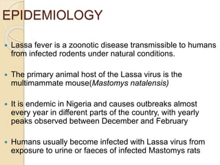 EPIDEMIOLOGY
 Lassa fever is a zoonotic disease transmissible to humans
from infected rodents under natural conditions.
 The primary animal host of the Lassa virus is the
multimammate mouse(Mastomys natalensis)
 It is endemic in Nigeria and causes outbreaks almost
every year in different parts of the country, with yearly
peaks observed between December and February
 Humans usually become infected with Lassa virus from
exposure to urine or faeces of infected Mastomys rats
 