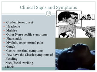 Clinical Signs and Symptoms
10
 Gradual fever onset
 Headache
 Malaise
 Other Non-specific symptoms
 Pharyngitis
 Myalgia, retro-sternal pain
 Cough
 Gastrointestinal symptoms
 Few have the Classic symptoms of :
- Bleeding
- Neck/facial swelling
- Shock
 