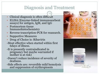 Diagnosis and Treatment
13
 Clinical diagnosis is often difficult
 ELISA (Enzyme-linked immunosorbent
assays) for antigen, IgM, and IgG
 Postmortem tissue
Immunohistochemistry
 Reverse trancription-PCR for reasearch.
 Supportive Measures
 Drug of Choice is: Ribavirin
-Most effective when started within first
6days of illness.
-It is presently contraindicated in
pregnancy but maybe warranted if
mother is at risk)
-Doesn’t reduce incidence of severity of
deafness.
-Side effects are: reversible mild hemolysis
and suppression of erythropioesis
 