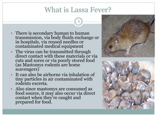 What is Lassa Fever?
5
 There is secondary human to human
transmission, via body fluids exchange or
in hospitals, via reused needles or
contaminated medical equipment
 The virus can be transmitted through
direct contact with these materials or via
cuts and sores or via poorly stored food
(as Mastomys rodents are home
scavengers)
 It can also be airborne via inhalation of
tiny particles in air contaminated with
rodents excreta.
 Also since mastomys are consumed as
food source, it may also occur via direct
contact when they’re caught and
prepared for food.
 