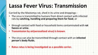Lassa Fever Virus: Transmission
11
Carried by the Mastomys rat, shed in its urine and droppings :
• The virus is transmitted to humans from direct contact with infected
rats by catching, handling and preparing them for food, or
• through contact with food or household items contaminated with rat
faeces or urine.
• Transmission by air(aerosolized virus) is known.
• The virus can also be transmitted through contact with an infected
person’s body fluids.
• Ratus ratus is being investigated as a possible carrier.
 