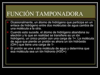 FUNCIÓN TAMPONADORA Ocasionalmente, un átomo de hidrógeno que participa en un enlace de hidrógeno entre dos moléculas de agua cambia de una molécula a la otra. Cuando esto sucede, el átomo de hidrógeno abandona su electrón y lo que en realidad se transfiere es un ión hidrógeno, un único protón con una carga de 1+. La molécula de agua que pierde un protón es ahora un ión hidróxido (OH-) que tiene una carga de 1- El protón se une a otra molécula de agua y determina que esa molécula sea un ión hidronio (H3O+) 