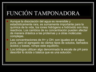 FUNCIÓN TAMPONADORA Aunque la disociación del agua es reversible y estadísticamente rara, es sumamente importante para la química de la vida, los iones hidrógeno e hidróxido son muy reactivos. Los cambios de su concentración pueden afectar de manera drástica a las proteínas y a otras moléculas complejas. Las concentraciones de H+ y OH- son iguales en el agua pura, pero el agregado de ciertos tipos de solutos, llamados ácidos y bases, rompe este equilibrio. Los biólogos utilizan algo denominado la escala de pH para describir lo ácida o básica que es una solución. 