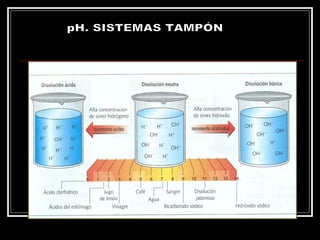 pH. SISTEMAS TAMPÓN 
