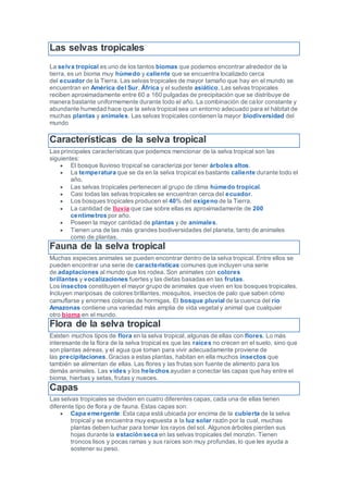 Las selvas tropicales
La selva tropical es uno de los tantos biomas que podemos encontrar alrededor de la
tierra, es un bioma muy húmedo y caliente que se encuentra localizado cerca
del ecuador de la Tierra. Las selvas tropicales de mayor tamaño que hay en el mundo se
encuentran en América del Sur, África y el sudeste asiático. Las selvas tropicales
reciben aproximadamente entre 60 a 160 pulgadas de precipitación que se distribuye de
manera bastante uniformemente durante todo el año. La combinación de calor constante y
abundante humedad hace que la selva tropical sea un entorno adecuado para el hábitat de
muchas plantas y animales. Las selvas tropicales contienen la mayor biodiversidad del
mundo
Características de la selva tropical
Las principales características que podemos mencionar de la selva tropical son las
siguientes:
 El bosque lluvioso tropical se caracteriza por tener árboles altos.
 La temperatura que se da en la selva tropical es bastante caliente durante todo el
año.
 Las selvas tropicales pertenecen al grupo de clima húmedo tropical.
 Casi todas las selvas tropicales se encuentran cerca del ecuador.
 Los bosques tropicales producen el 40% del oxígeno de la Tierra.
 La cantidad de lluvia que cae sobre ellas es aproximadamente de 200
centímetros por año.
 Poseen la mayor cantidad de plantas y de animales.
 Tienen una de las más grandes biodiversidades del planeta, tanto de animales
como de plantas.
Fauna de la selva tropical
Muchas especies animales se pueden encontrar dentro de la selva tropical. Entre ellos se
pueden encontrar una serie de características comunes que incluyen una serie
de adaptaciones al mundo que los rodea. Son animales con colores
brillantes y vocalizaciones fuertes y las dietas basadas en las frutas.
Los insectos constituyen el mayor grupo de animales que viven en los bosques tropicales.
Incluyen mariposas de colores brillantes, mosquitos, insectos de palo que saben cómo
camuflarse y enormes colonias de hormigas. El bosque pluvial de la cuenca del río
Amazonas contiene una variedad más amplia de vida vegetal y animal que cualquier
otro bioma en el mundo.
Flora de la selva tropical
Existen muchos tipos de flora en la selva tropical, algunas de ellas con flores. Lo más
interesante de la flora de la selva tropical es que las raíces no crecen en el suelo, sino que
son plantas aéreas, y el agua que toman para vivir adecuadamente proviene de
las precipitaciones. Gracias a estas plantas, habitan en ella muchos insectos que
también se alimentan de ellas. Las flores y las frutas son fuente de alimento para los
demás animales. Las vides y los helechos ayudan a conectar las capas que hay entre el
bioma, hierbas y setas, frutas y nueces.
Capas
Las selvas tropicales se dividen en cuatro diferentes capas, cada una de ellas tienen
diferente tipo de flora y de fauna. Estas capas son:
 Capa emergente: Esta capa está ubicada por encima de la cubierta de la selva
tropical y se encuentra muy expuesta a la luz solar razón por la cual, muchas
plantas deben luchar para tomar los rayos del sol. Algunos árboles pierden sus
hojas durante la estación seca en las selvas tropicales del monzón. Tienen
troncos lisos y pocas ramas y sus raíces son muy profundas, lo que les ayuda a
sostener su peso.
 