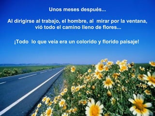 Unos meses después...
Al dirigirse al trabajo, el hombre, al mirar por la ventana,
vió todo el camino lleno de flores...
¡Todo lo que veía era un colorido y florido paisaje!
 