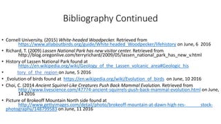 Bibliography Continued
• Cornell University. (2015) White-headed Woodpecker. Retrieved from
https://www.allaboutbirds.org/guide/White headed_Woodpecker/lifehistory on June, 6 2016
• Richard, T. (2009) Lassen National Park has new visitor center. Retrieved from
http://blog.oregonlive.com/terryrichard/2009/05/lassen_national_park_has_new_v.html
• History of Lassen National Park found at
https://en.wikipedia.org/wiki/Geology_of_the_Lassen_volcanic_area#Geologic_his
• tory_of_the_region on June, 5 2016
• Evolution of birds found at https://en.wikipedia.org/wiki/Evolution_of_birds on June, 10 2016
• Choi, C. (2014 Ancient Squirrel-Like Creatures Push Back Mammal Evolution. Retrieved from
http://www.livescience.com/47774-ancient-squirrels-push-back-mammal-evolution.html on June,
14 2016
• Picture of Brokeoff Mountain North side found at
http://www.gettyimages.com/detail/photo/brokeoff-mountain-at-dawn-high-res- stock-
photography/148799583 on June, 11 2016
 