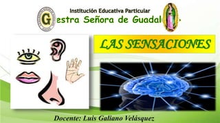 LAS SENSACIONES
Docente: Luis Galiano Velásquez
 