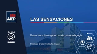 LAS SENSACIONES
Psicólogo Cristian Cortés Rodríguez
Bases Neurofisiológicas para la psicopedagogía
 