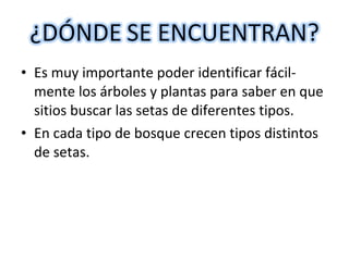 • Es muy importante poder identificar fácil-mente 
los árboles y plantas para saber en que 
sitios buscar las setas de diferentes tipos. 
• En cada tipo de bosque crecen tipos distintos 
de setas. 
 