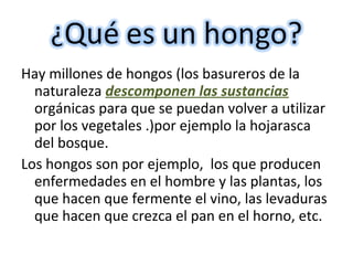 Hay millones de hongos (los basureros de la 
naturaleza descomponen las sustancias 
orgánicas para que se puedan volver a utilizar 
por los vegetales .)por ejemplo la hojarasca 
del bosque. 
Los hongos son por ejemplo, los que producen 
enfermedades en el hombre y las plantas, los 
que hacen que fermente el vino, las levaduras 
que hacen que crezca el pan en el horno, etc. 
 