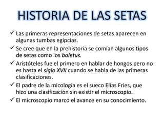 Las primeras representaciones de setas aparecen en 
algunas tumbas egipcias. 
Se cree que en la prehistoria se comían algunos tipos 
de setas como los bboolleettuuss.. 
Aristóteles fue el primero en hablar de hongos pero no 
es hasta el ssiigglloo XXVVIIII cuando se habla de las primeras 
clasificaciones. 
El padre de la micología es el sueco Elías Fries, que 
hizo una clasificación sin existir el microscopio. 
El microscopio marcó el avance en su conocimiento. 
 