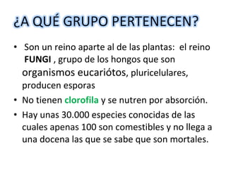 • Son un reino aparte al de las plantas: el reino 
FUNGI , grupo de los hongos que son 
organismos eucariótos, pluricelulares, 
producen esporas 
• No tienen clorofila y se nutren por absorción. 
• Hay unas 30.000 especies conocidas de las 
cuales apenas 100 son comestibles y no llega a 
una docena las que se sabe que son mortales. 
 