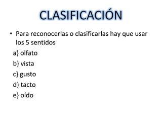• Para reconocerlas o clasificarlas hay que usar 
los 5 sentidos 
a} olfato 
b} vista 
c} gusto 
d} tacto 
e} oído 
 