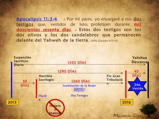 Apocalipsis 11:3-4 3 Por mi parte, yo encargaré a mis dos
testigos que, vestidos de luto, profeticen durante mil
doscientos sesenta días. 4 Estos dos testigos son los
dos olivos y los dos candelabros que permanecen
delante del Yahweh de la tierra. (NVI) [Zacarías 4:11-13]
2013 2016
Suspensión
Sacrificio
Diario
Horrible
Sacrilegio
1335 DÍAS
1290 DÍAS 45
DÍAS
Huid
a
Inviern
o
Shabbat
Sustentación de la Mujer
(ISRAEL)
1260 DÍAS30
DÍAS
Diluvio
Dos Testigos
2da.
Venida
Fin Gran
Tribulació
n
Yahshua
Descansa
 
