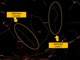 SERPIENS
CAUDA
SERPIENS
CAPUT
 