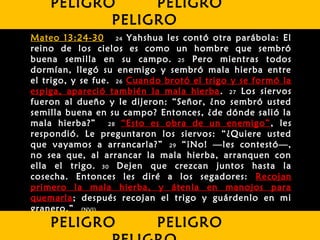 Mateo 13:24-30 24 Yahshua les contó otra parábola: El
reino de los cielos es como un hombre que sembró
buena semilla en su campo. 25 Pero mientras todos
dormían, llegó su enemigo y sembró mala hierba entre
el trigo, y se fue. 26 Cuando brotó el trigo y se formó la
espiga, apareció también la mala hierba. 27 Los siervos
fueron al dueño y le dijeron: “Señor, ¿no sembró usted
semilla buena en su campo? Entonces, ¿de dónde salió la
mala hierba?”  28 “Esto es obra de un enemigo”, les
respondió. Le preguntaron los siervos: “¿Quiere usted
que vayamos a arrancarla?” 29 “¡No! —les contestó—,
no sea que, al arrancar la mala hierba, arranquen con
ella el trigo. 30 Dejen que crezcan juntos hasta la
cosecha. Entonces les diré a los segadores: Recojan
primero la mala hierba, y átenla en manojos para
quemarla; después recojan el trigo y guárdenlo en mi
granero.”  (NVI)
PELIGRO PELIGRO
PELIGRO
PELIGRO PELIGRO
 