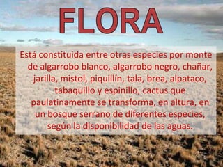 Está constituida entre otras especies por monte
  de algarrobo blanco, algarrobo negro, chañar,
   jarilla, mistol, piquillín, tala, brea, alpataco,
          tabaquillo y espinillo, cactus que
   paulatinamente se transforma, en altura, en
    un bosque serrano de diferentes especies,
       según la disponibilidad de las aguas.
 