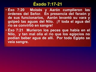 Las Siete Copas De La Ira De Dios