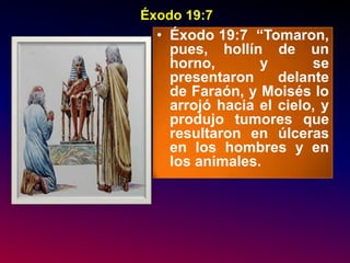 Las Siete Copas De La Ira De Dios