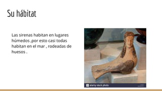 Su hábitat
Las sirenas habitan en lugares
húmedos ,por esto casi todas
habitan en el mar , rodeadas de
huesos .
 