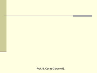 Prof. S. Casas-Cordero E.
 