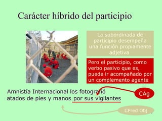 Carácter híbrido del participio
6
Amnistía Internacional los fotografió
La subordinada de
participio desempeña
una función propiamente
adjetiva
atados de pies y manos
CPred Obj
por sus vigilantes
CAg
Pero el participio, como
verbo pasivo que es,
puede ir acompañado por
un complemento agente
 