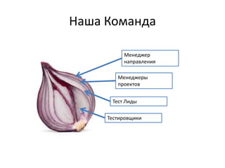 Наша Команда
Тестировщики
Тест Лиды
Менеджеры
проектов
Менеджер
направления
 
