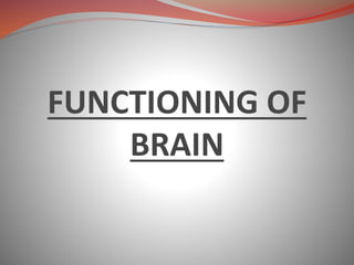 FUNCTIONING OF
BRAIN
 