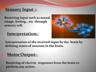  Sensory Input :-
Receiving input such as sound,
image, feeling… etc through
sensory cell.
 Interpretation:-
Interpretation of the received input by the brain by
defining states of neurons in the brain.
 Motor Output:-
Receiving of electric responses from the brain to
perform any action .
 