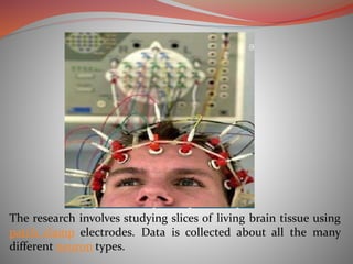 The research involves studying slices of living brain tissue using
patch clamp electrodes. Data is collected about all the many
different neuron types.
 