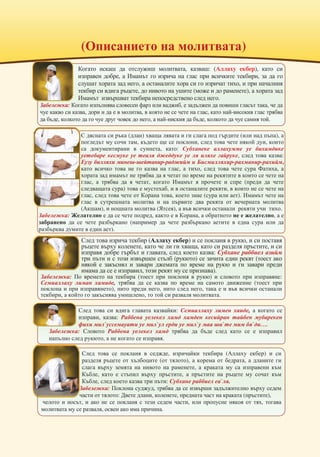 важни въпроси в на мюсюлманина живота