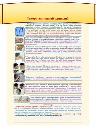 Охирги ўн пора тафсири ва баъзи муҳим масалалар
