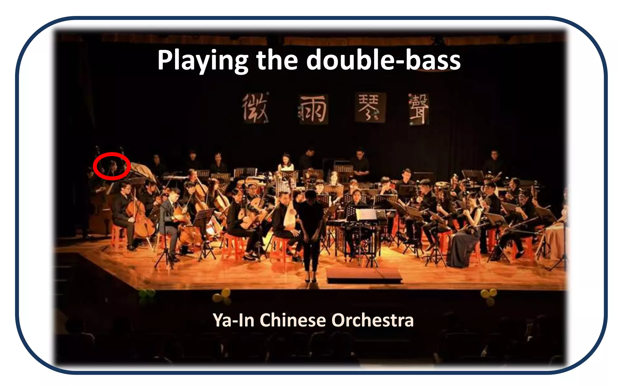 Ya-In Chinese Orchestra
Playing the double-bass
 