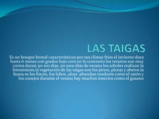 Es un bosque boreal característicos por sus climas fríos el invierno dura
hasta 6 meses con grados bajo cero en lo contrario los veranos son muy
cortos duran 50-100 días ,en esos días de verano los arboles realizan la
fotosíntesis.la vegetación de las taigas son los pinos, piceas y abetos.la
fauna es los linces, los lobos ,alces .abundan roedores como el ratón y
los conejos durante el verano hay muchos insectos como el gusano
 