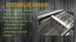 Contoso Ltd.
Add a footer
16
STRESSING OF STRANDS
• The strands are stressed
one by one, under strict
quality control.
• The stressing forces, no.
of strands & their
position are all
determined by slab
design
 