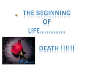 The beginning Of  Life…………… Death !!!!!!  