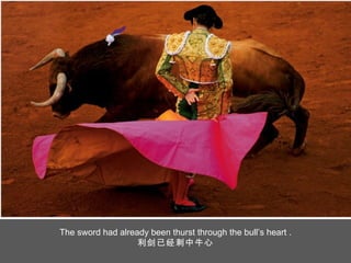 The sword had already been thurst through the bull’s heart . 利剑已经刺中牛心 